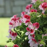 Meuble Cima Bianca Garni Hotel 3*