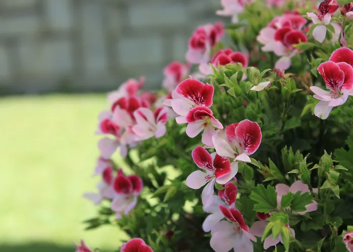 Meuble Cima Bianca Garni Hotel 3*